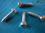 Stainless Steel Hex Self Tapping Screw