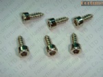 Stainless Steel Hexagon Socket Head Self Tapping Screws