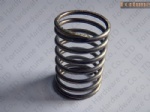 Stainless Steel Compression Spring