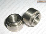 Stainless Steel Riveted Nuts