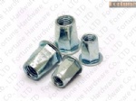 Stainless Steel Rivet Nuts