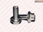 Stainless Steel Hex Flange Head Bolt